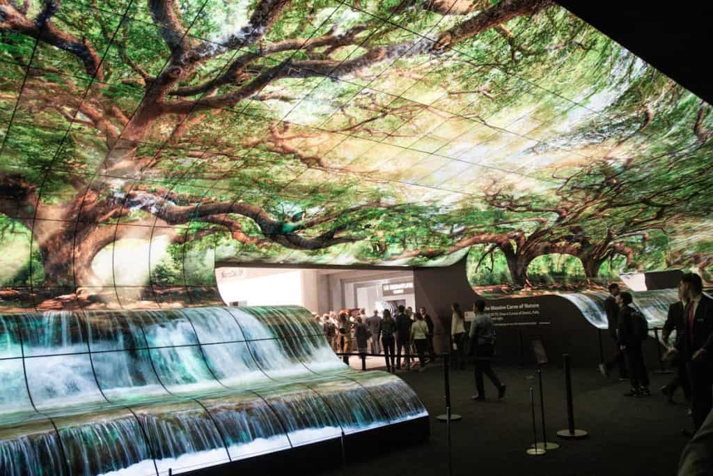 Sustainable AV installation using immersive displays of natural landscapes at a commercial technology event.
